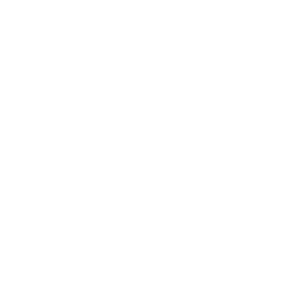 logo origins